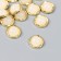 Decor for creativity Plastic "Half -Pesterior with a golden rim" set of 20 pcs 1.7x1.7 cm 943112