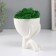 Concrete Kashpo "Mr. Green" hides with moss white 8.3x10x10 cm (moss green stabilizers)