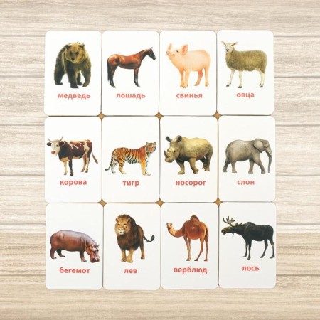 Developing set for babies “Genius from the diapers: study animals”, according to the Montessori method-2