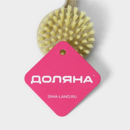Brush for dishes of share, 21 × 6 cm-8