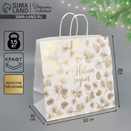 Package Gift Craft Gold, 32 x 28 x 15 cm, New Year