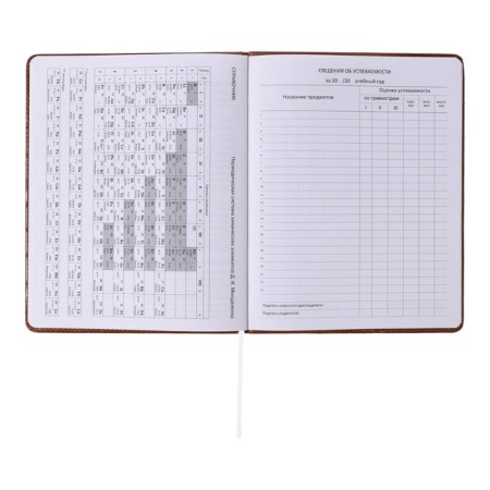 Universal diary for grade 1-11 Feel Inspired, solid cover, artificial leather, foam rubber, foil embossing, liesse, 80 g/m2-10