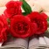 Bouquet "Rose Stock" 6x27 cm, mix