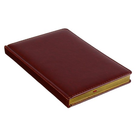 Diary of a low -up A5+, 136 sheets of Sidney Nebraska, solid cover, artificial leather, gold cut, brown-1