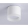 Ambrella Techno Spot Acrylic Frost TN5365, GX53, white color