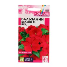 Balzamin flowers 