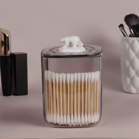 Organizer for storage "Bear", with a lid, 9 × 9 × 13.5 cm, the color is transparent-3