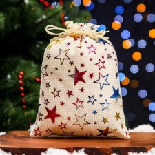 Gift bag from the canvases 
