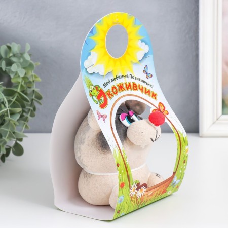 Growing gift Eco -Zhizhivchik "raccoon" mix-5