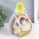 Growing gift Eco -Zhizhivchik "raccoon" mix