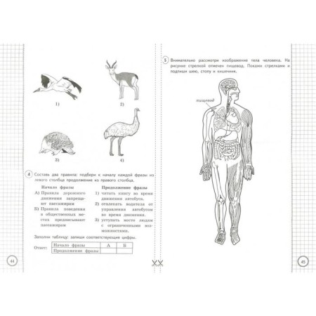 Tests. GEF. The world. 25 options, Fioko, grade 4. Volkova E.V.-3