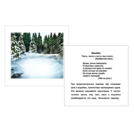 Seasons. Winter. 12 training cards-5