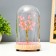 Nightlight "Flowers Pink" LED from batteries 3xlr44 11x11x19 cm Risalux