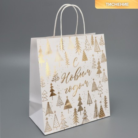 Package gift craft "New Year's time", 22 x 25 x 12 cm, new year-1