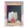 Photostes "Spring tulips", Saten, size 145x180 cm, 2 pcs