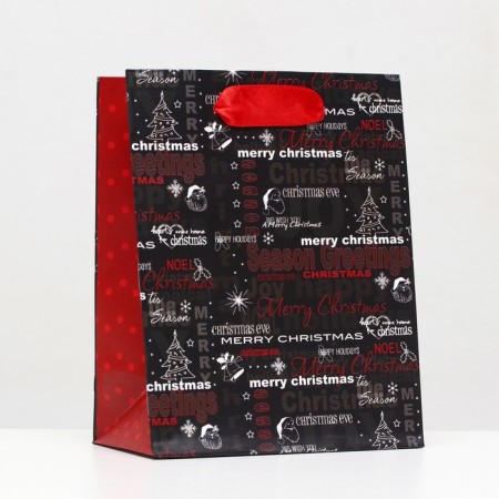 Laminated Packet "Merry Christmas" 11.5 x 14.5 x 6 cm-2
