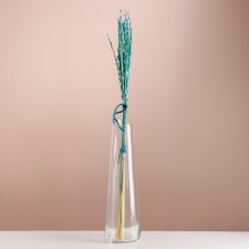 Set of dried flowers 