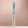 Set of dried flowers "Raigrace", banch 21 pcs, length 60 (+/- 6 cm), turquoise