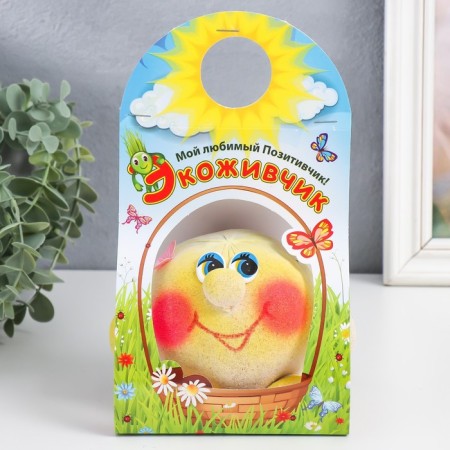 Growing gift Eco -Zhizhivchik "Kolobok" mix-5