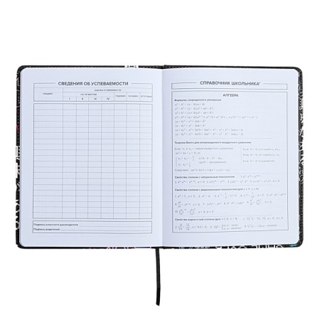 Universal Diary Grade 1-11, 48 sheets of "cyberism", solid cover of artificial leather, lies, universal cheat sheet, block 80 g/m2-7