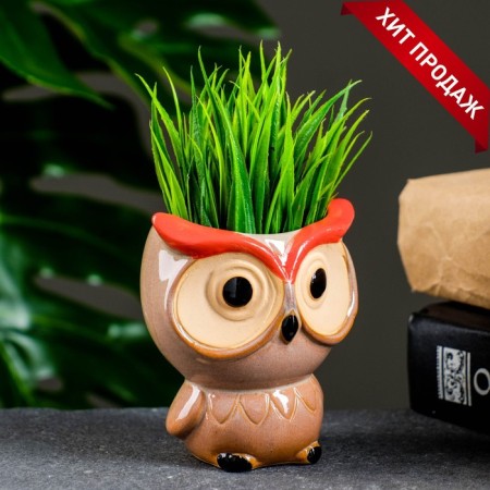 Pot "Boom owl" 6.5x5x7.5cm