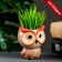 Pot "Boom owl" 6.5x5x7.5cm