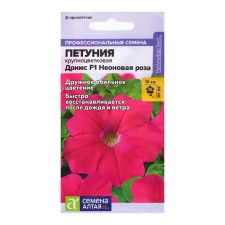 Petunia Dreams 