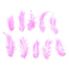 A set of feathers for decor 10 pcs., Size 1 pc: 10 × 2 cm, pink color