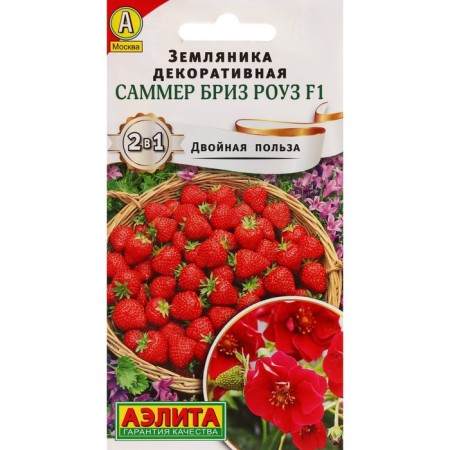 Strawberries "Summer Breeze Rose", F1, C/P, 5 pcs.