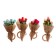 Ring for napkins "Bouquet", mix
