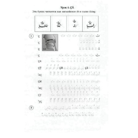Arabic language. Apartment. Alphabet, reading, writing-3