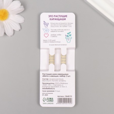 Growing gift pencils mini "Mint + lavender" set 2 pcs.-1