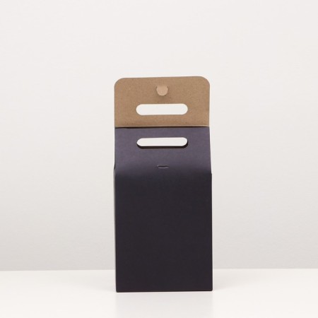 Box package with a pen, 27 x 16 x 9 cm-1