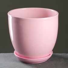 Flower pot 