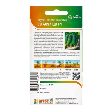 Cucumber seeds "SV 4097 CV" F1 8pcs* Seminis-1