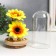 Souvenir textiles, wood, glass "Sunflower in a flask" 14.5x8.5x8.5 cm