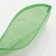 Cosmetic bag-penete on zipper, PVC, green color