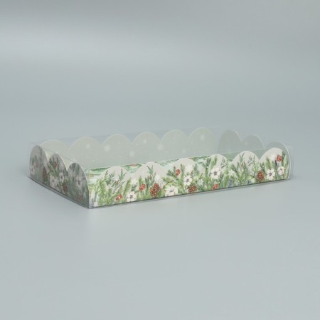 Box for confectionery products with PVC lid “Magic New Year”, 10.5 x 21 x 3 cm, New Year-2
