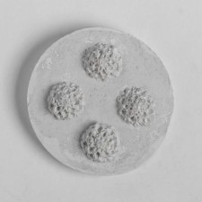 Mold Silicon 
