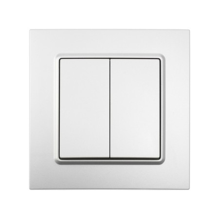 Tot Elegant switch, 10 a, 2 cl., Hidden, silver-2