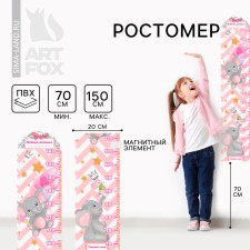 Rostomer with a magnetic element 