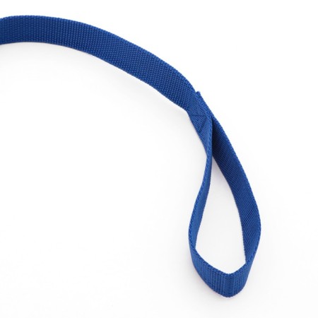 Leash 7 m x 2.5 cm, blue-2