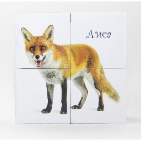 Cubes with pictures "Forest animals", 4 pcs.-2