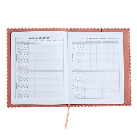 Universal Grade 1-11 Diary, 48 sheets "hare ears", soft cover of artificial leather, applique, foil embossing, figured cutting, universal cheat sheet, lies, block 80 g/m2-6