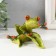 Souvenir Polystone Lac "Frog on the Leaf" 7.5x13x10.5 cm