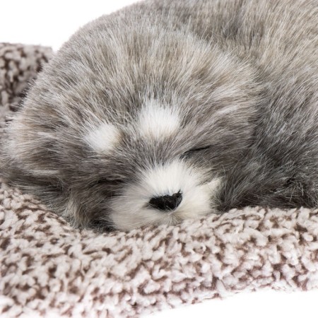 Toy on a car panel, a dog on a pillow, gray color-1