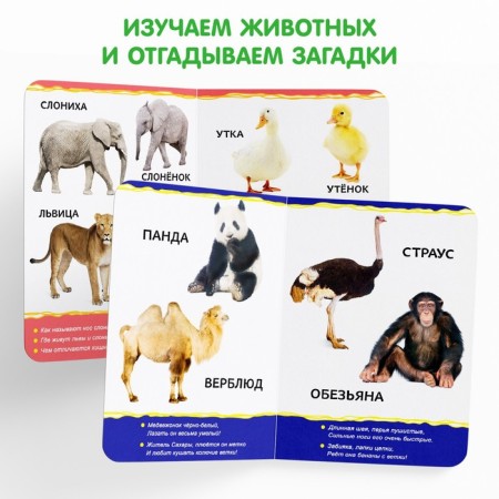 Books Cardboard set "For kids" No. 1, 4 pcs., 10 pp., Mix-4