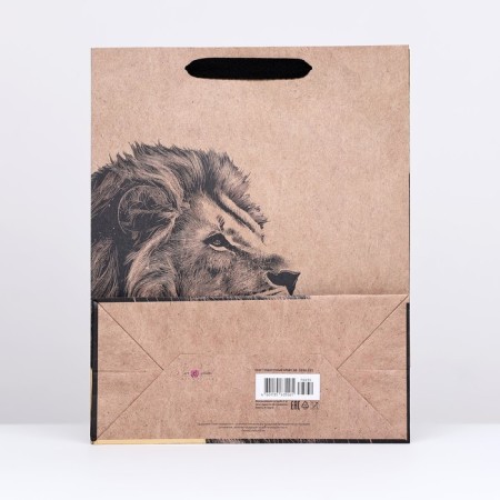 Crafts "Leo" 26 x 32 x 12 cm-1