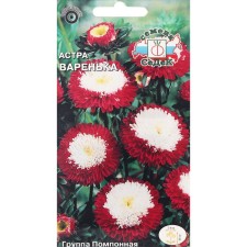 Flowers of Astra 
