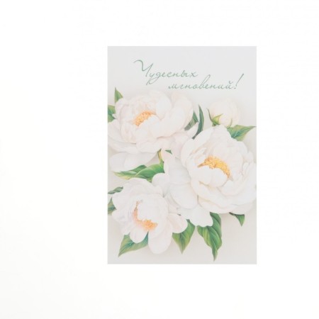 Set of mini-postcard "Flowers" 7.6 x 10.6 cm-11